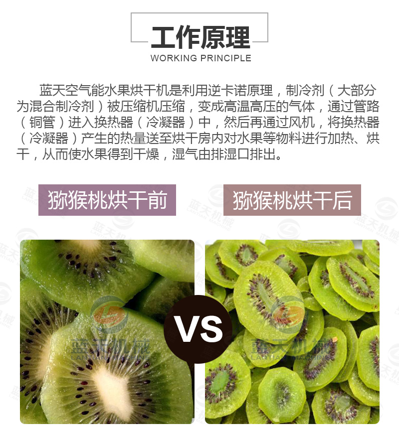 水果烘干機(jī)工作原理