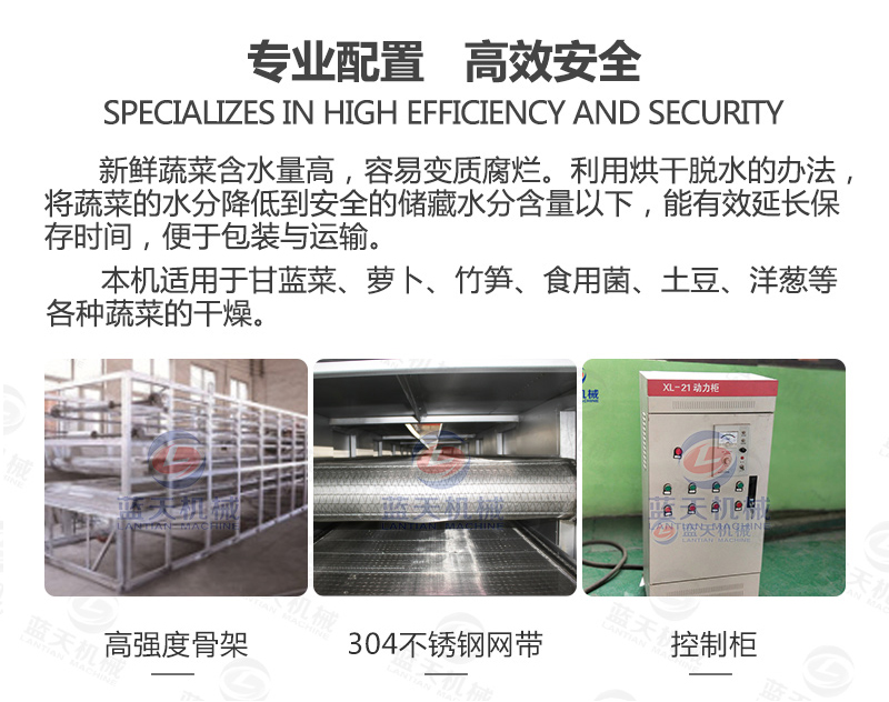 帶式青菜烘干機(jī)專業(yè)配置