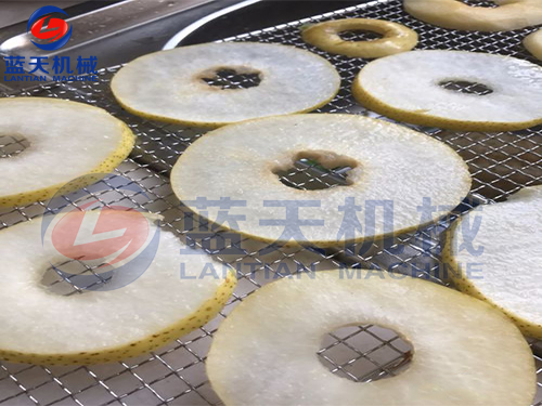 廣西水果烘干機(jī)用戶現(xiàn)場(chǎng)