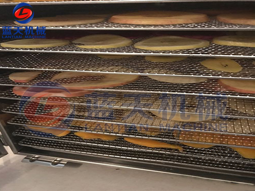 廣西水果烘干機(jī)用戶現(xiàn)場(chǎng)